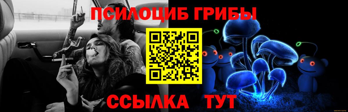 Спасск-Дальний  Псилоцибиновые грибы прущие грибы  Вход с VPN 