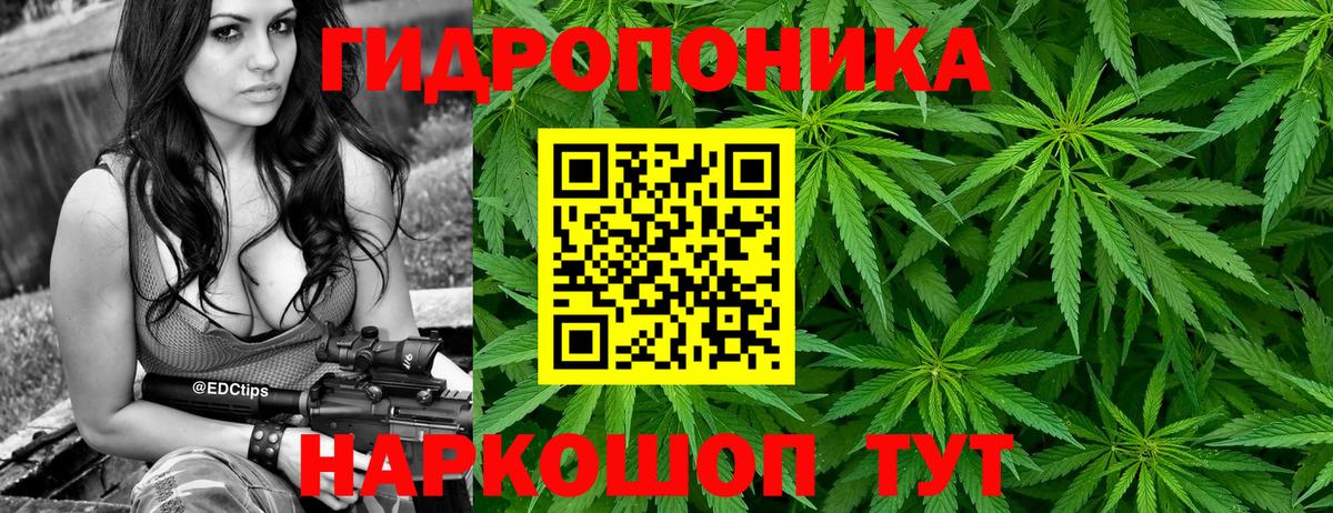 Канабис White Widow  Бошки марихуана VHQ  Вход с VPN  Спасск-Дальний 